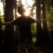 man in black t-shirt standing in forest during daytime