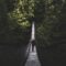 photo of man walking of foot bridge