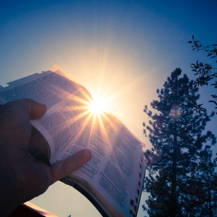 person holding white printer paper