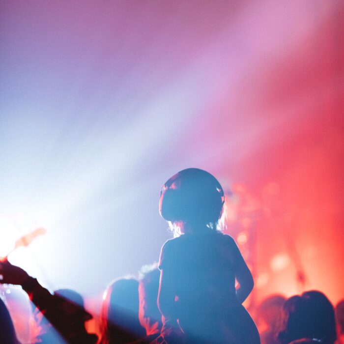 a person standing in front of a crowd at a concert